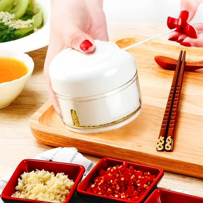 Mini Meat Grinder Chopper